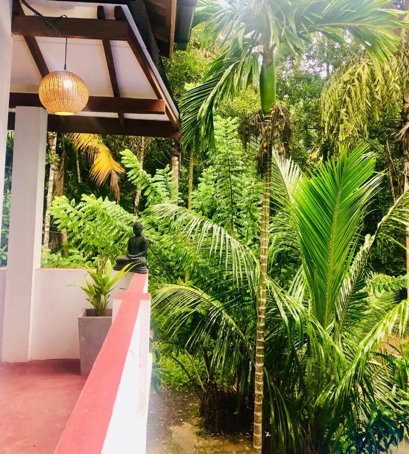 Le Cabanon Apartment Dikwella Luaran gambar